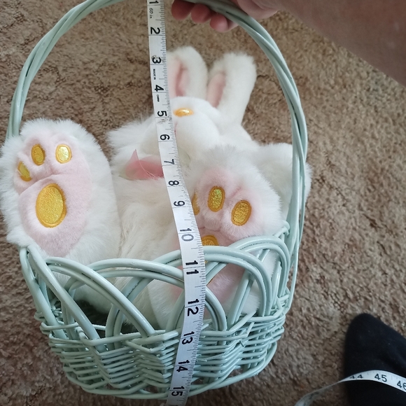 LG Easter Basket & Bunny !! - Picture 6 of 16